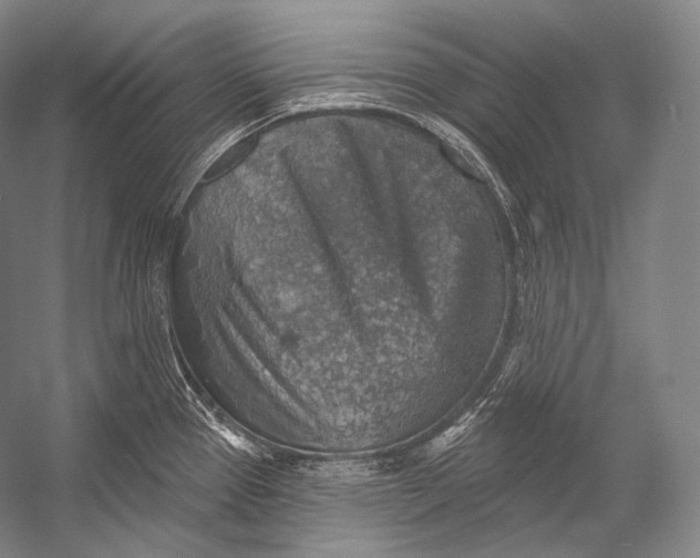 X0000052571337200507221452