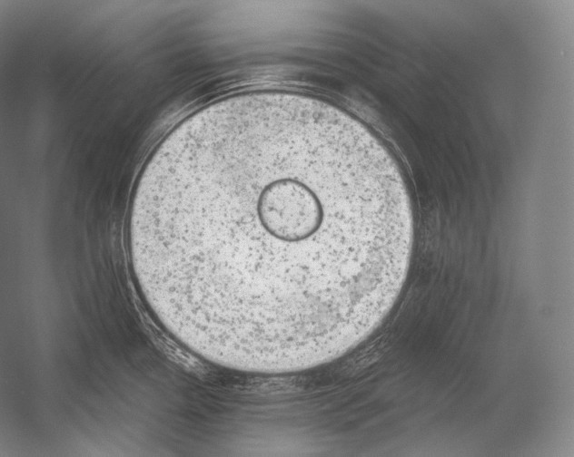 X0000052571338200507221452