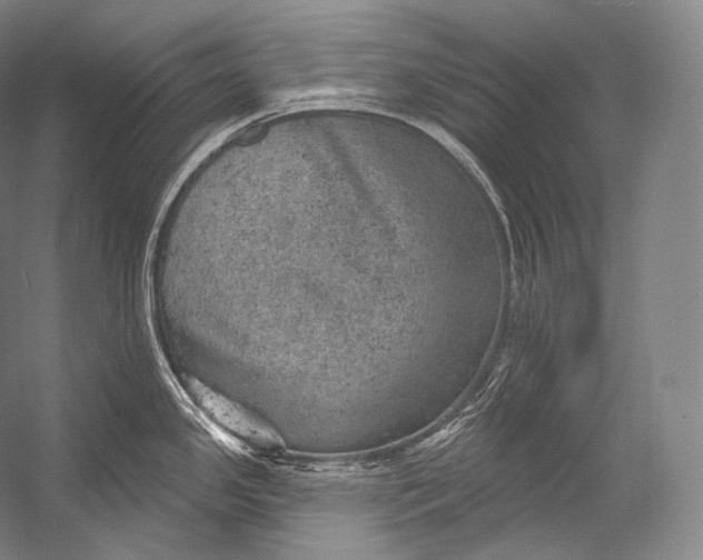 X0000052571341200507221452