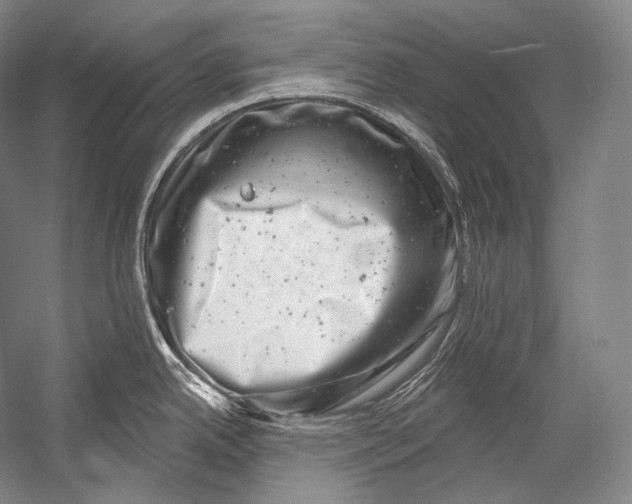 X0000052571342200507221452