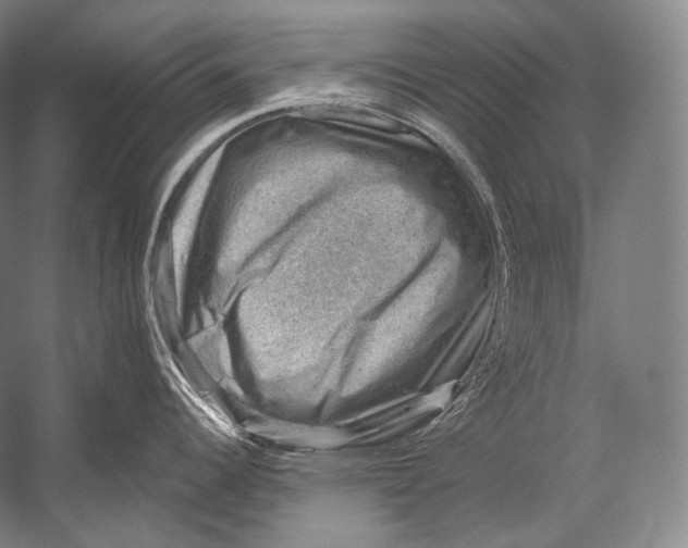 X0000052571344200507221452