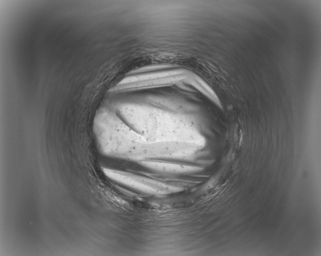 X0000052571345200507221451