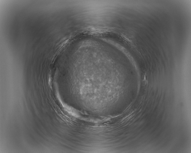 X0000052571348200507221451