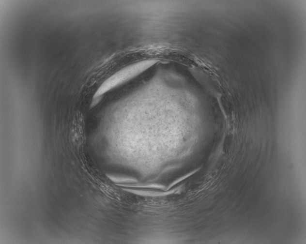 X0000052571349200507221451