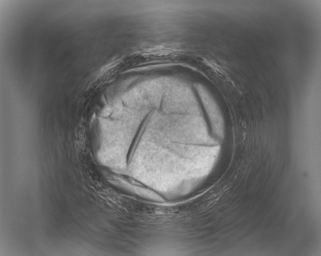 X0000052571350200507221451