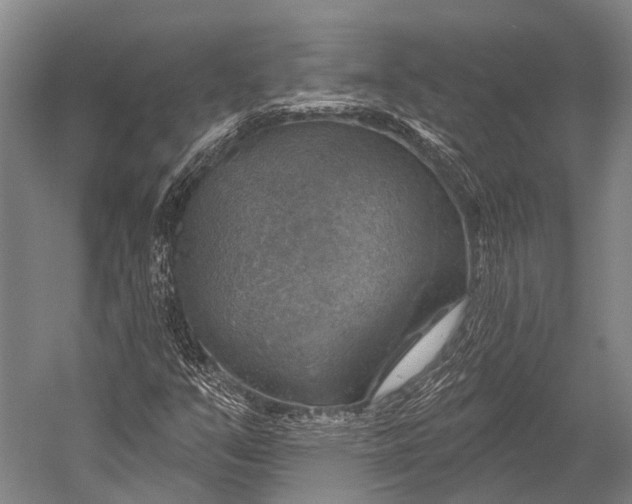 X0000052571351200507221451