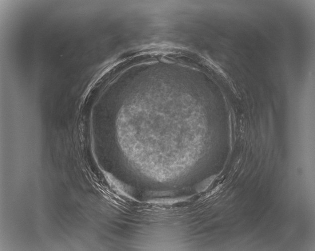 X0000052571352200507221451