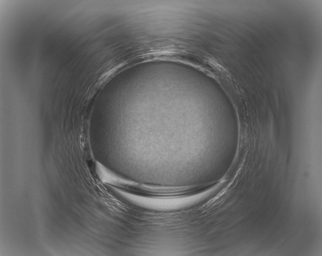 X0000052571353200507221451