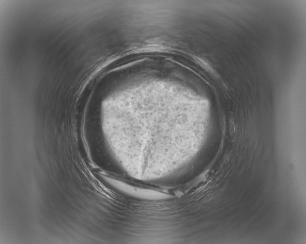 X0000052571356200507221451