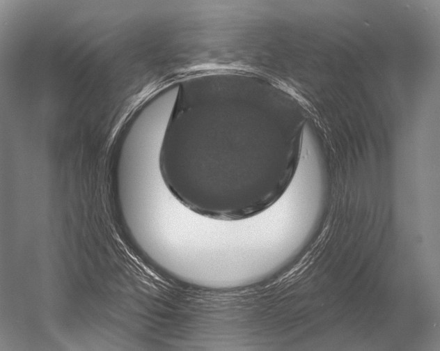 X0000052571357200507221451