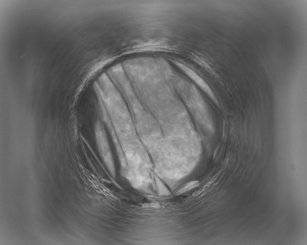 X0000052571358200507221451