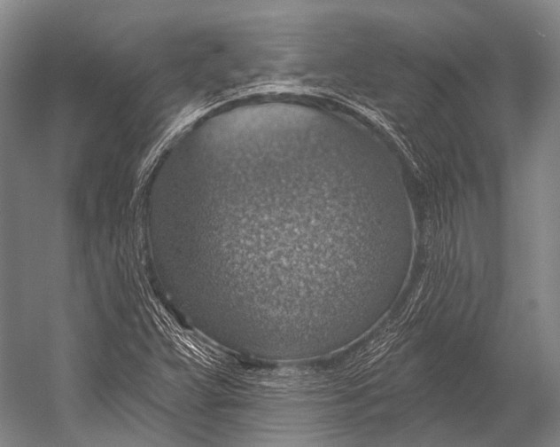 X0000052571359200507221451