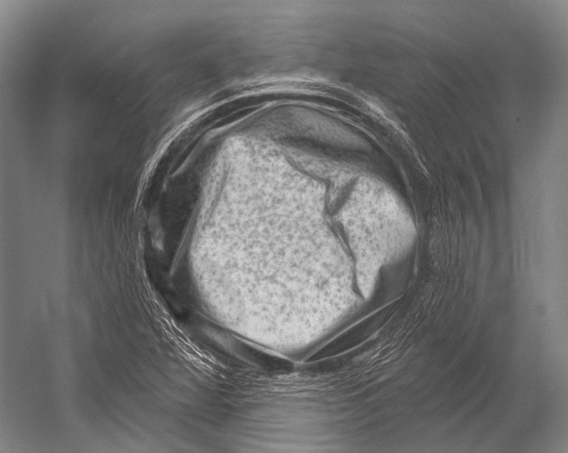 X0000052571360200507221451