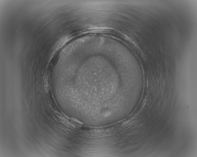 X0000052571362200507221451