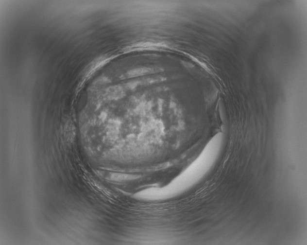 X0000052571363200507221451