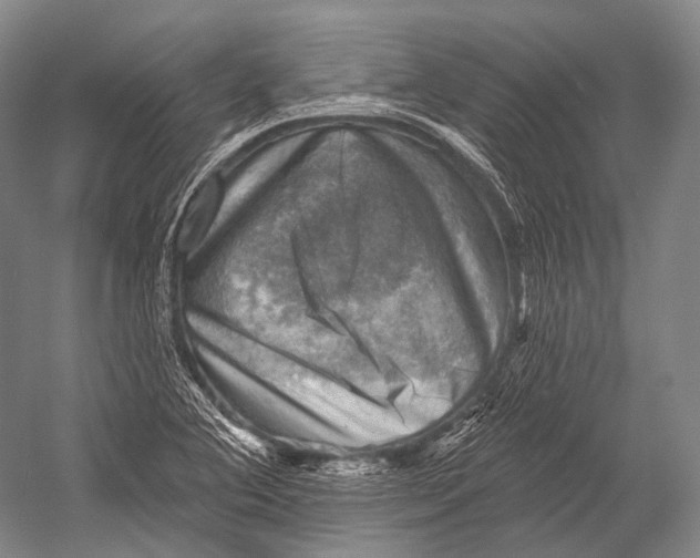 X0000052571364200507221451