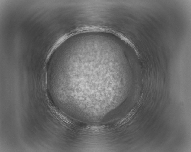 X0000052571365200507221451