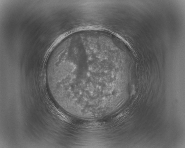 X0000052571367200507221451