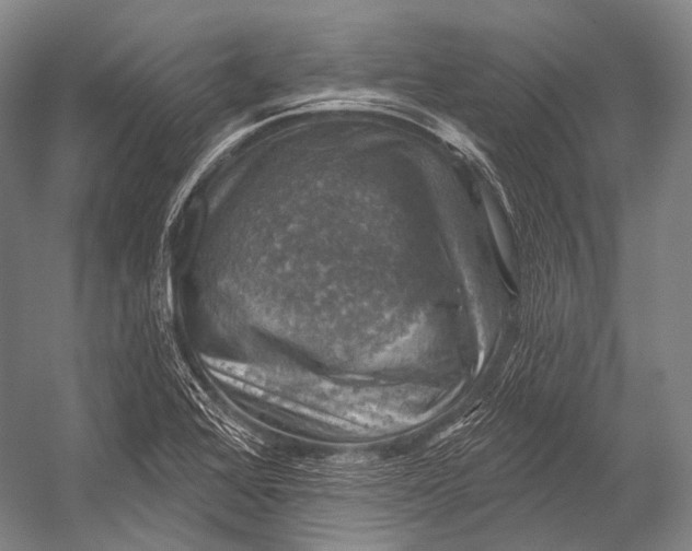 X0000052571368200507221451