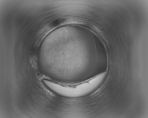 X0000052571369200507221451