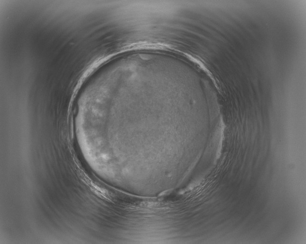 X0000052571371200507221451