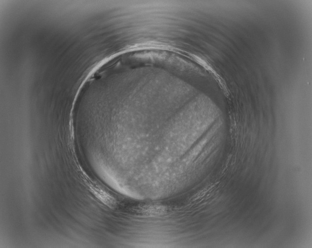 X0000052571372200507221451