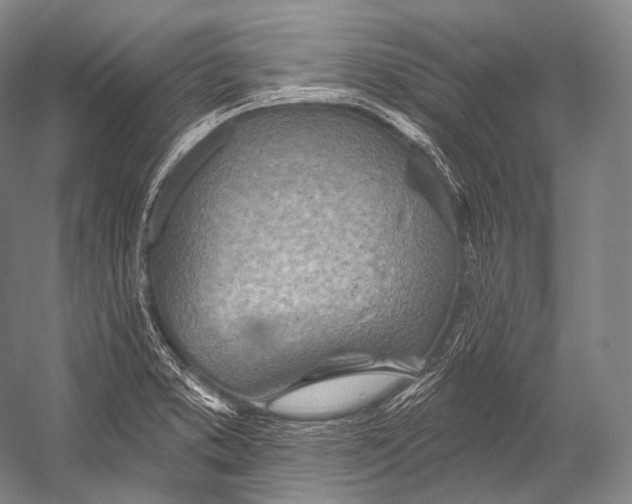 X0000052571373200507221451