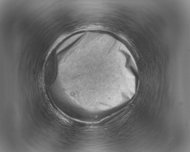 X0000052571374200507221451