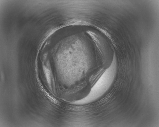 X0000052571375200507221451