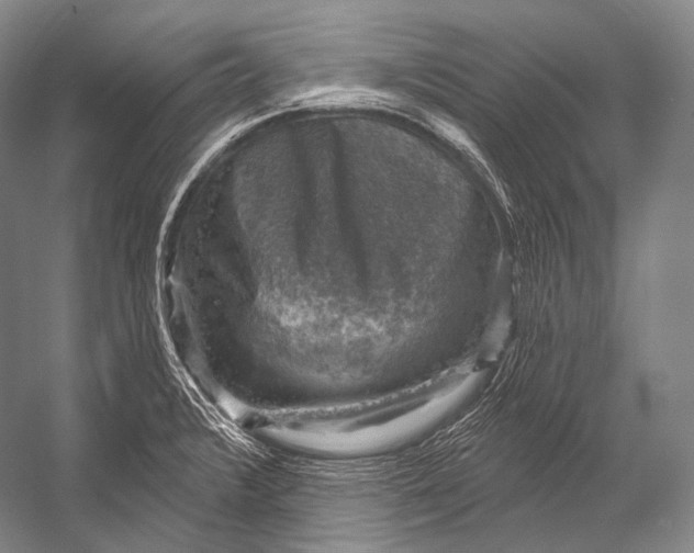 X0000052571376200507221451