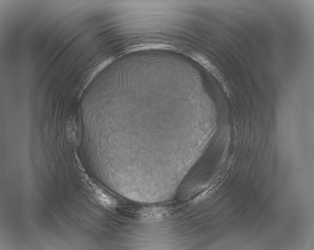 X0000052571377200507221451