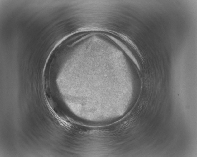 X0000052571380200507221451