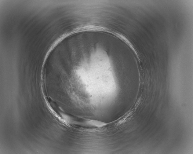 X0000052571381200507221451