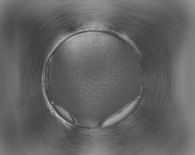 X0000052571383200507221450