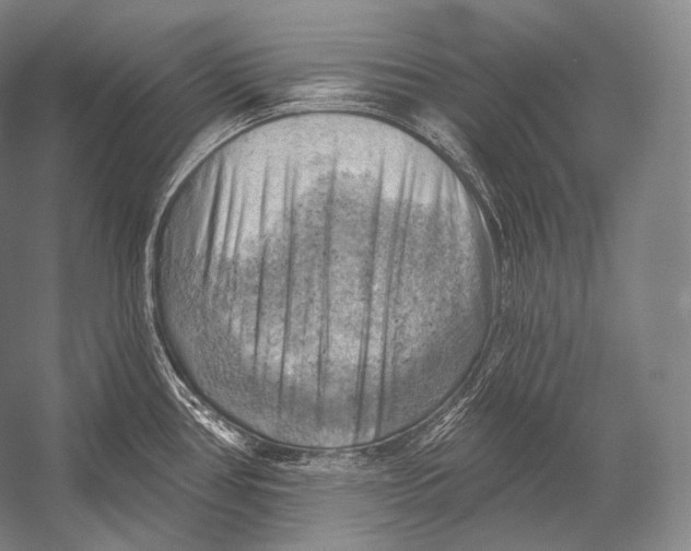 X0000052571386200507221450