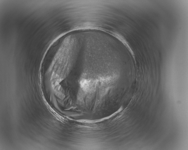 X0000052571388200507221450