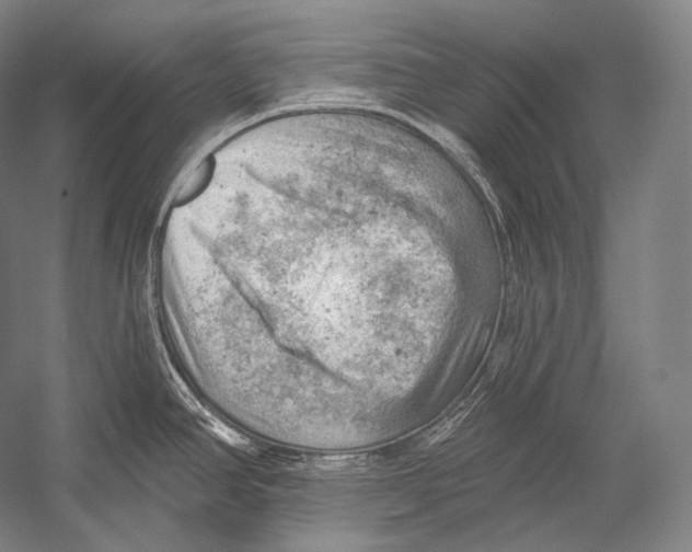 X0000052571390200507221450