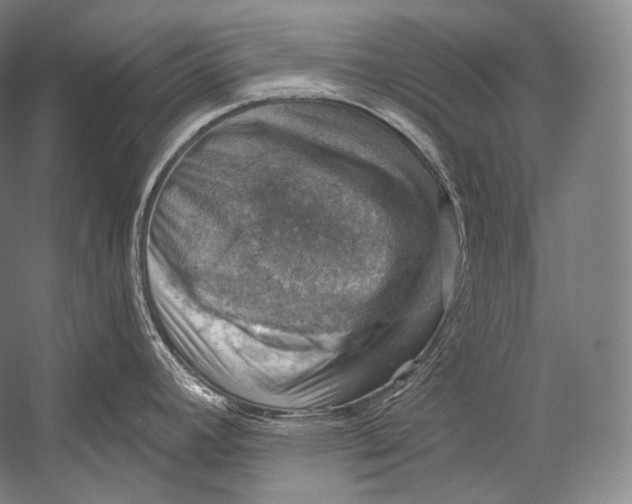 X0000052571392200507221450