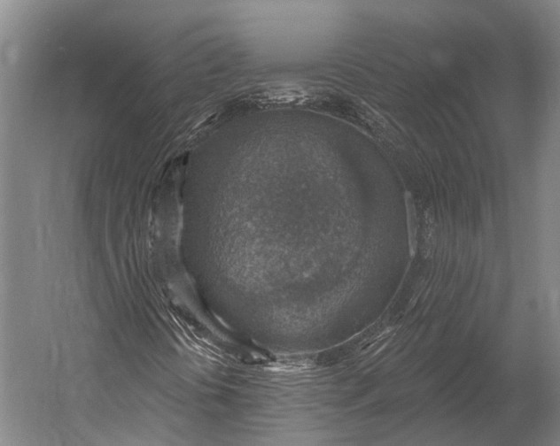 X0000052571394200507221450