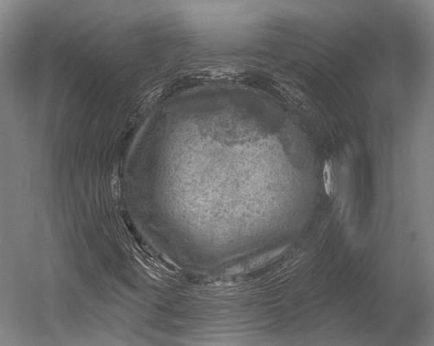 X0000052571395200507221450