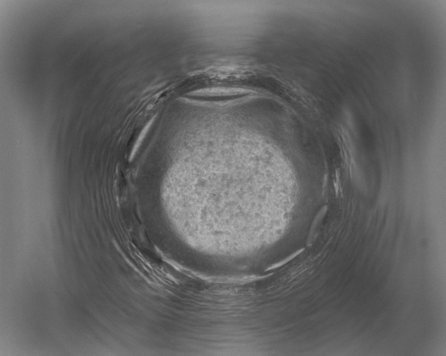 X0000052571396200507221450