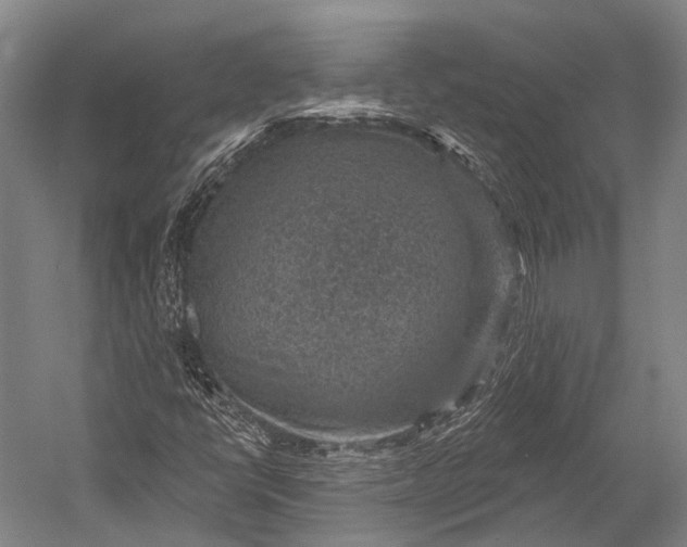 X0000052571398200507221450