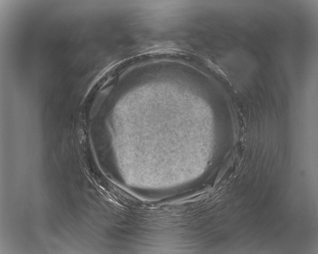 X0000052571400200507221450