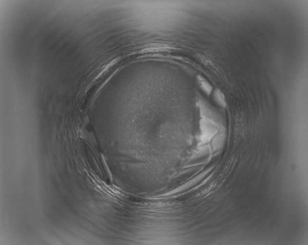 X0000052571401200507221450