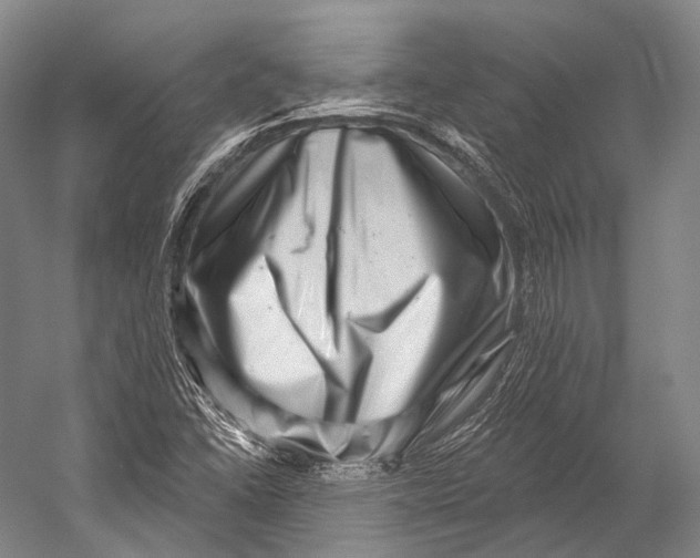 X0000052571406200507221450