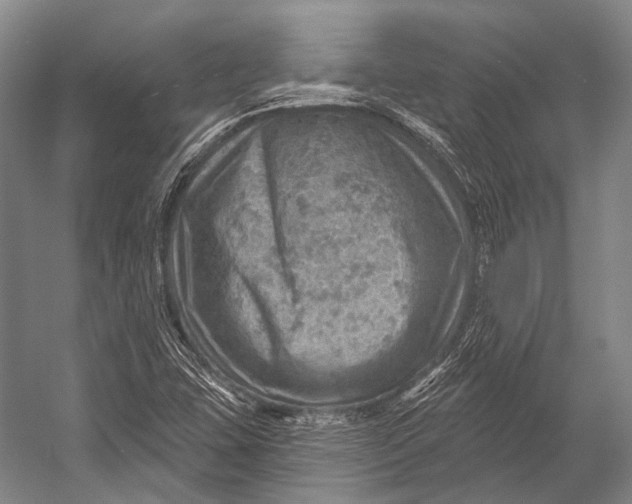 X0000052571407200507221450