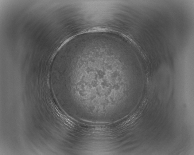 X0000052571409200507221450