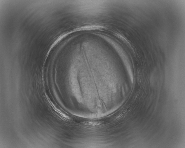 X0000052571412200507221450