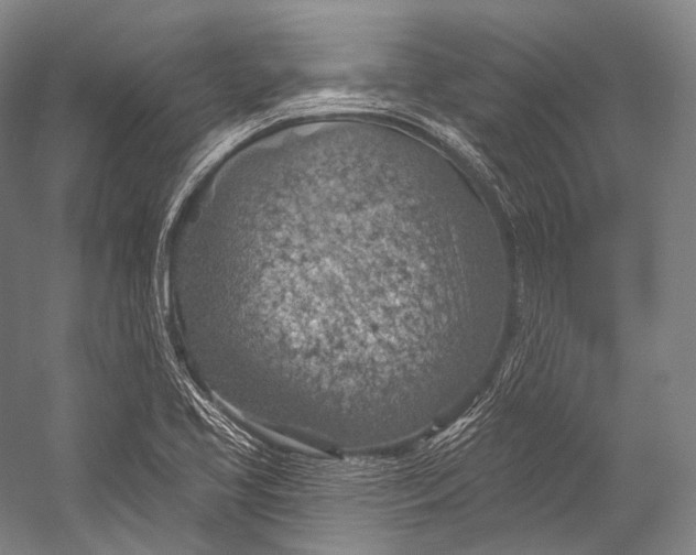 X0000052571413200507221450