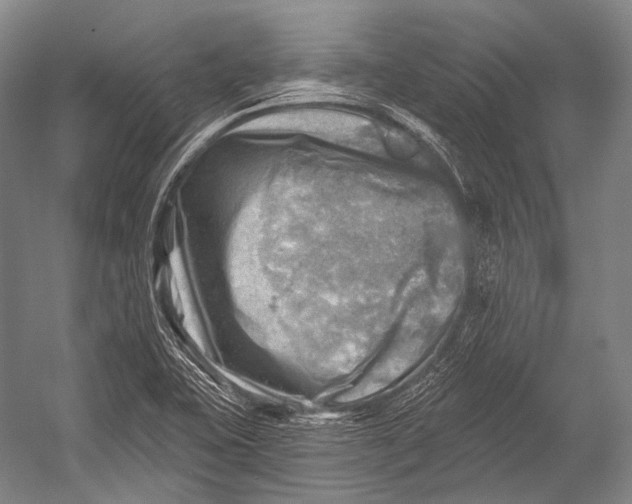 X0000052571415200507221450